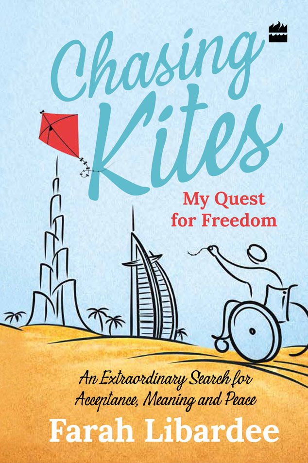 Chasink Kites Cover Book