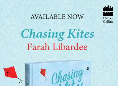 Chasink Kites Cover Book